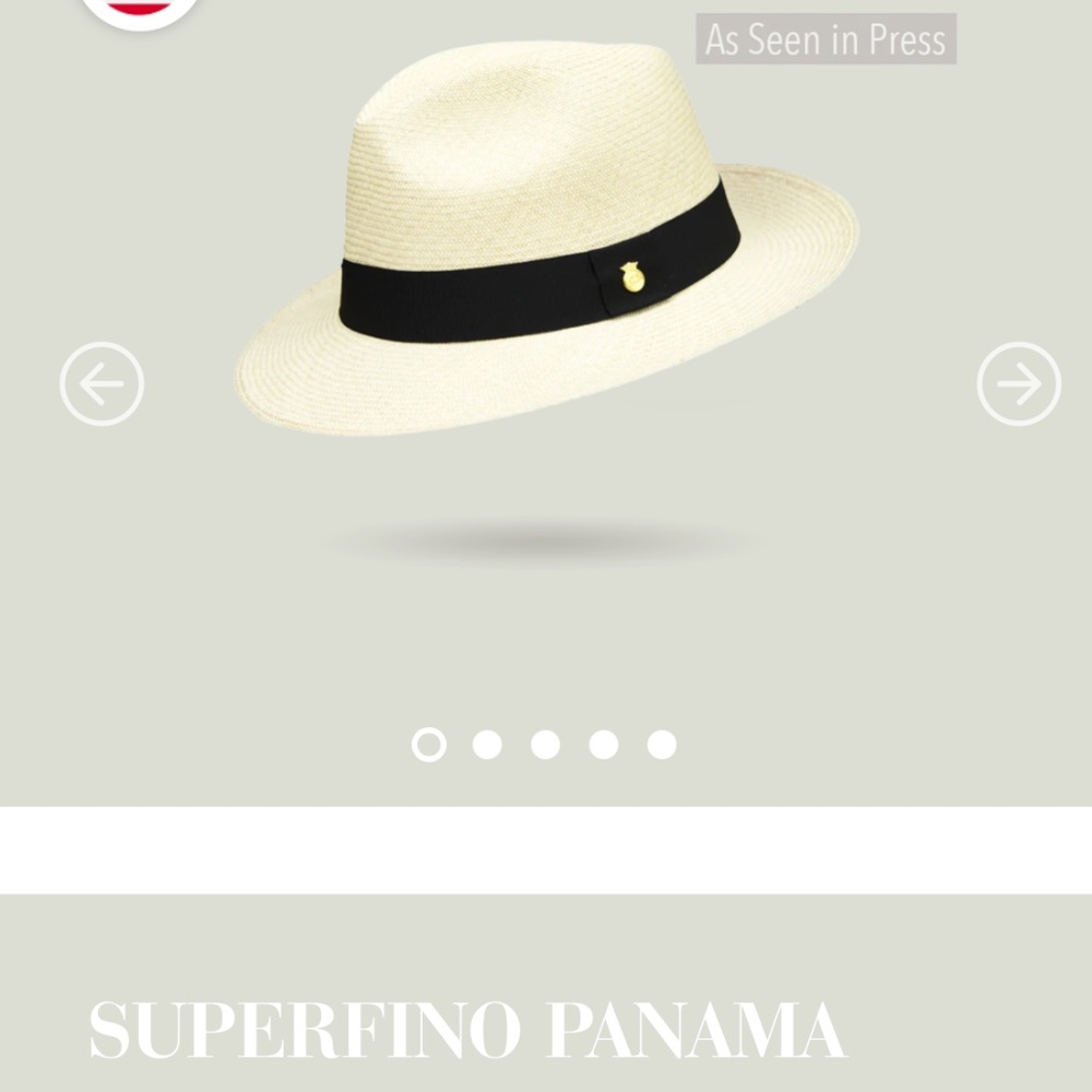 NWOT Panama Hat Natural Herringbone — Rollable